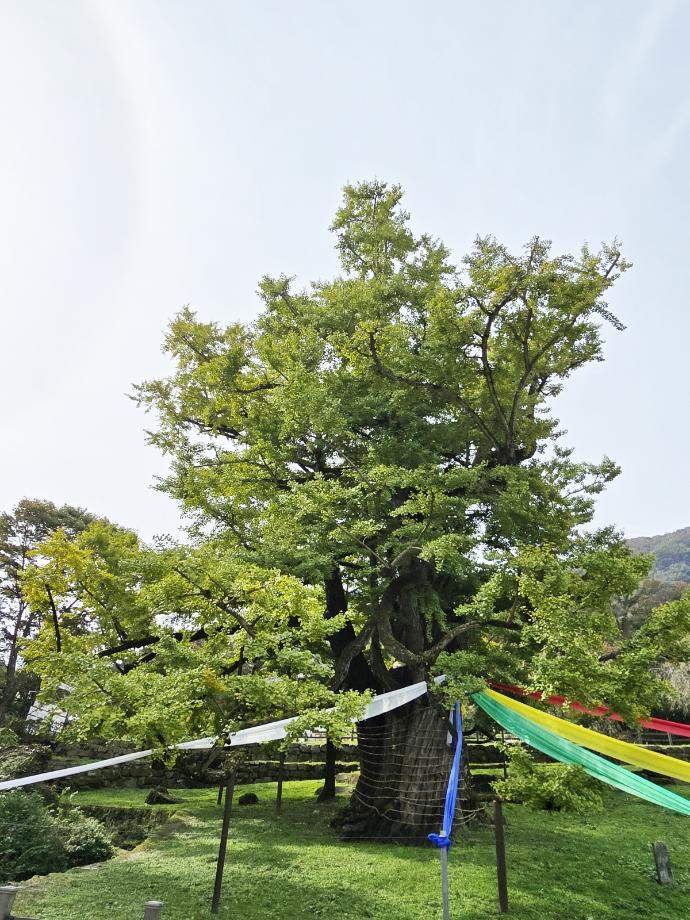 충북 국가유산 사진