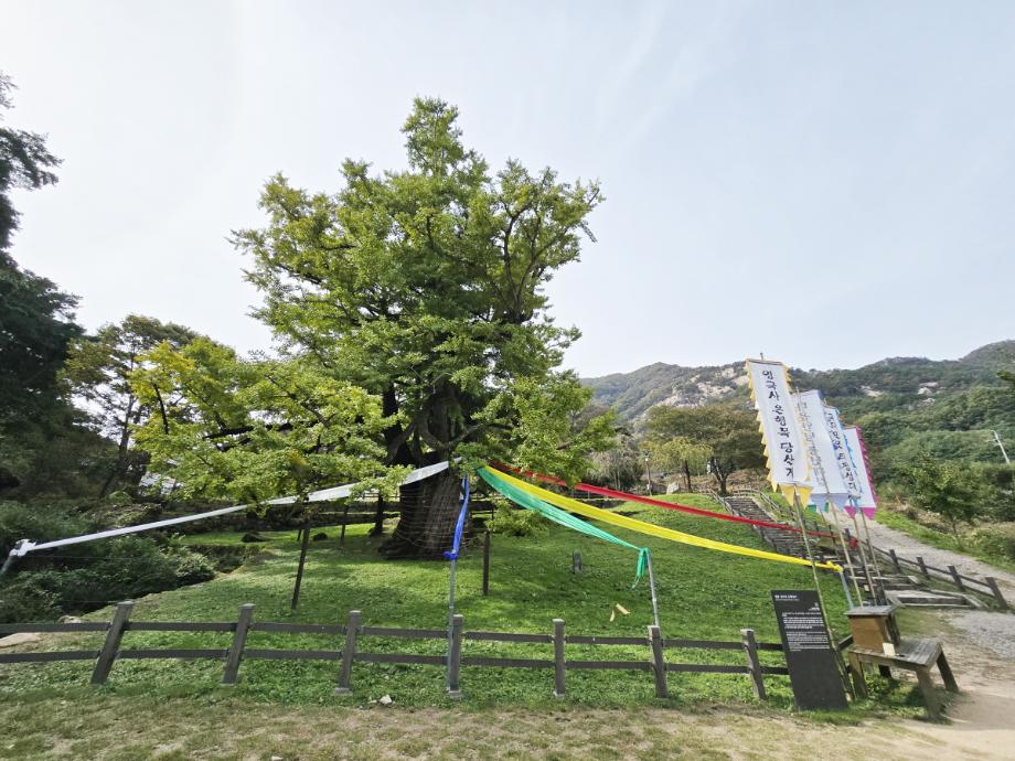 충북 국가유산 사진