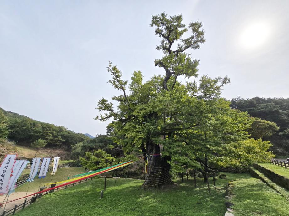 충북 국가유산 사진