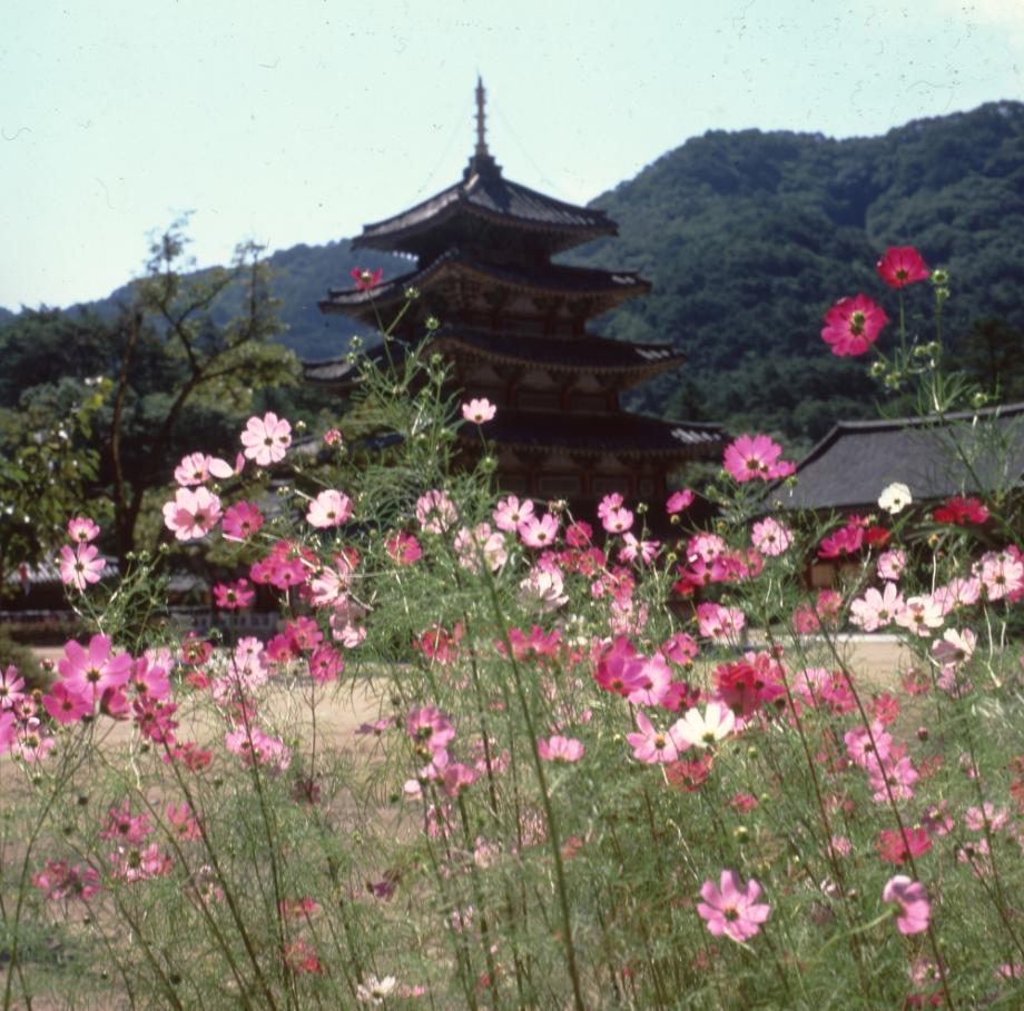 보은 법주사 팔상전이미지