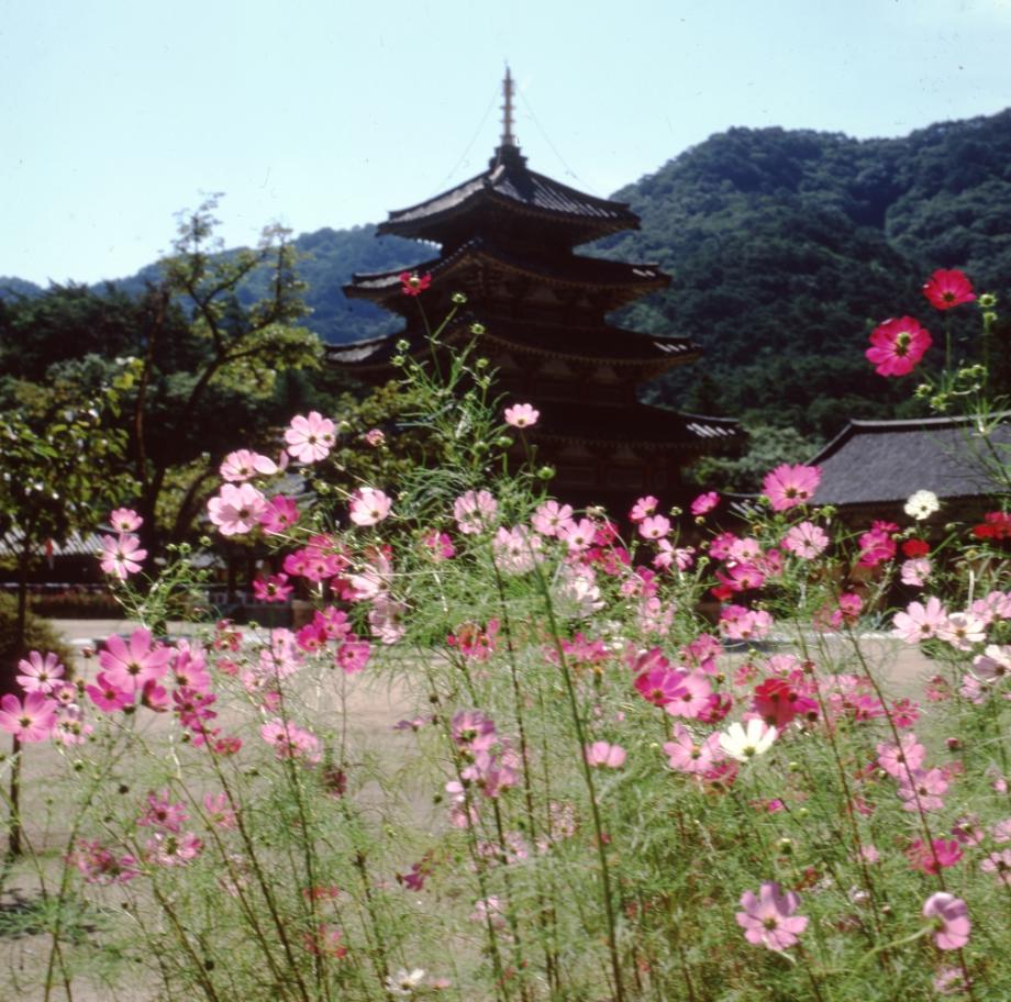 보은 법주사 팔상전이미지