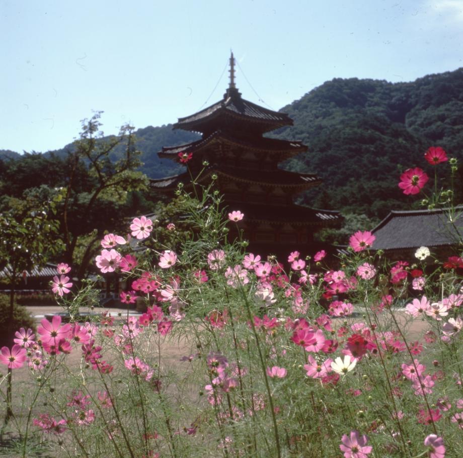 보은 법주사 팔상전이미지