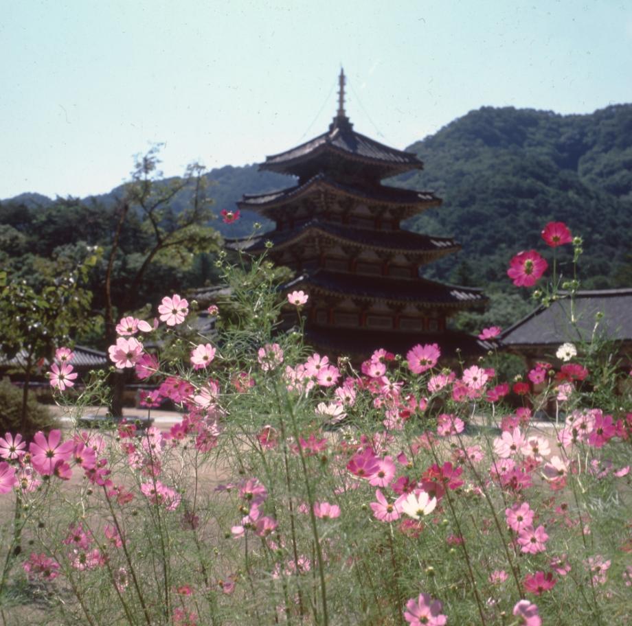 보은 법주사 팔상전이미지