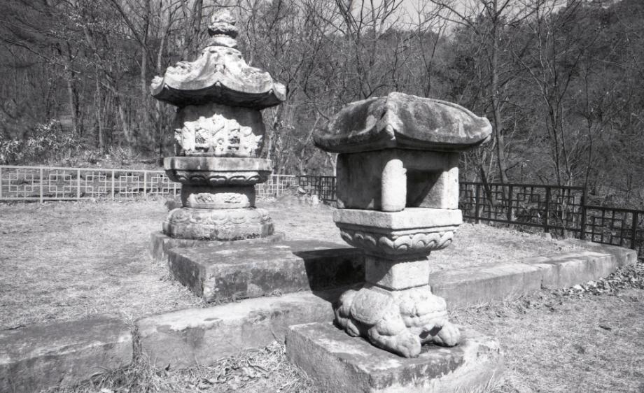 충주 청룡사지 보각국사탑이미지