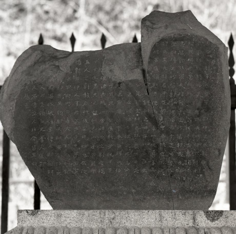 단양 신라 적성비이미지