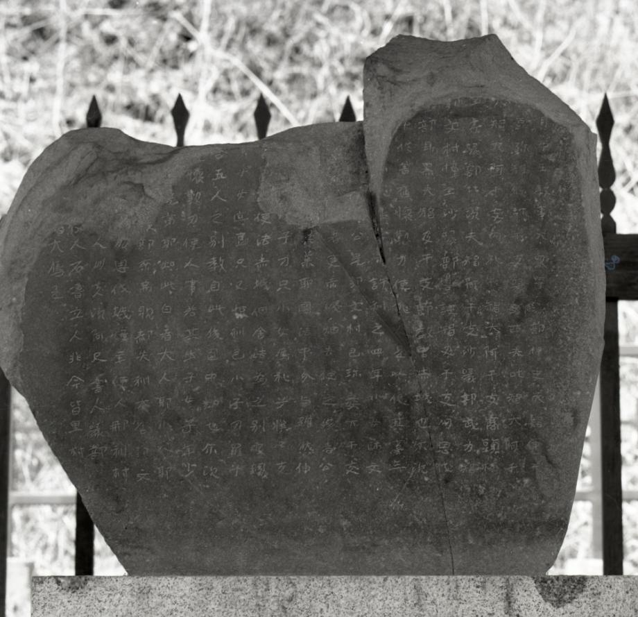 단양 신라 적성비이미지