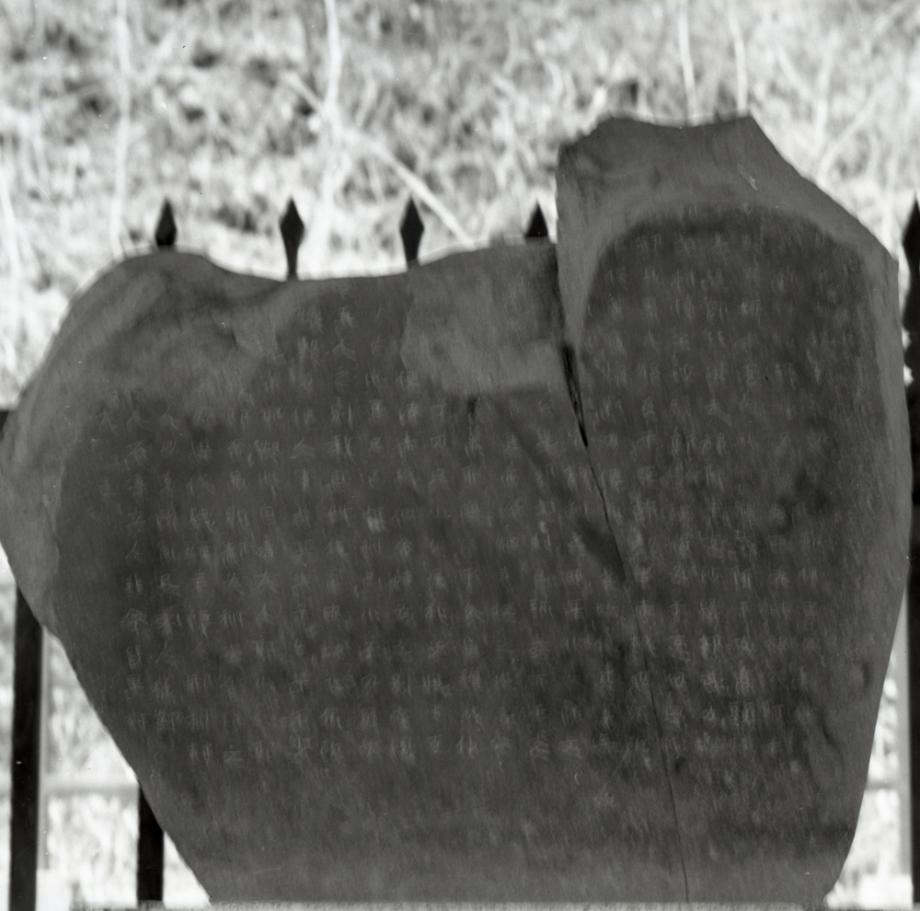 단양 신라 적성비이미지