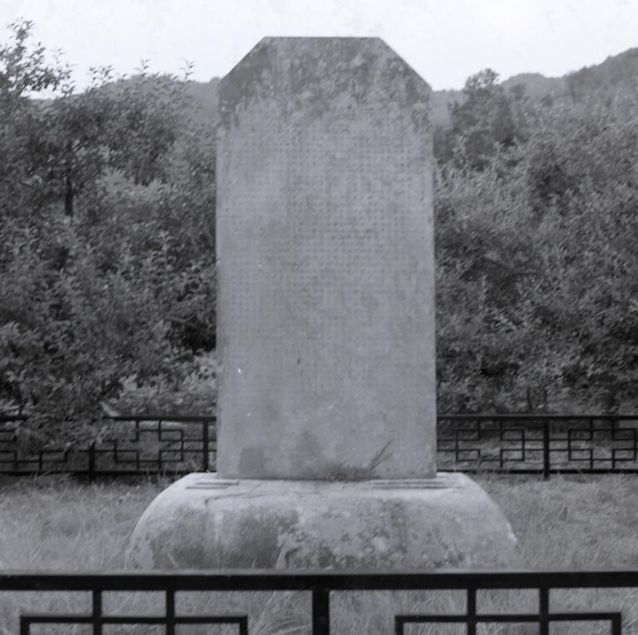 충주 억정사지 대지국사탑비이미지