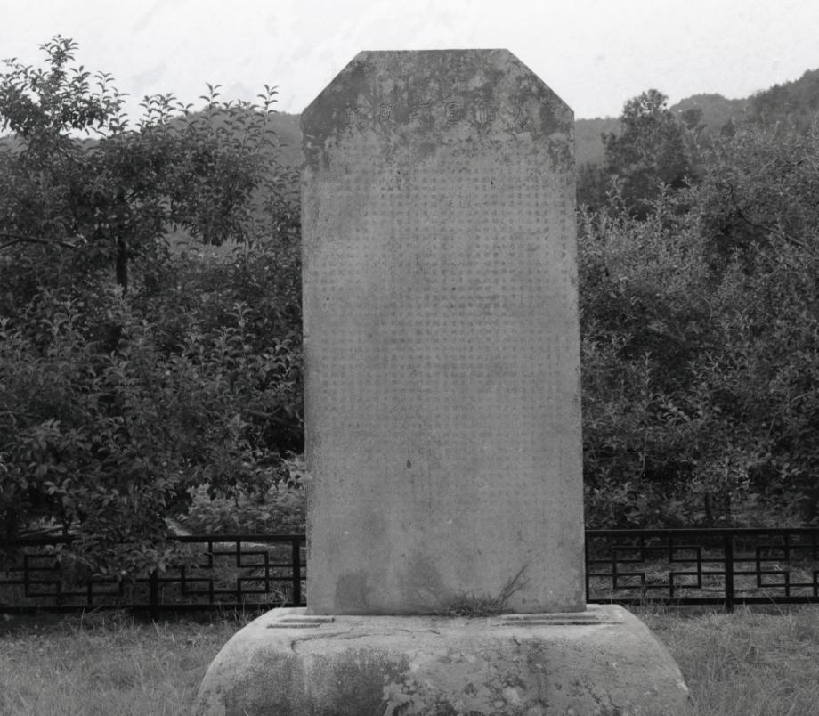 충주 억정사지 대지국사탑비이미지