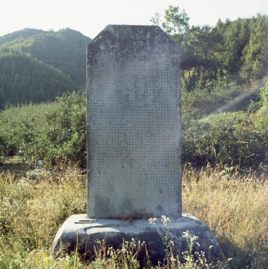 충주 억정사지 대지국사탑비이미지