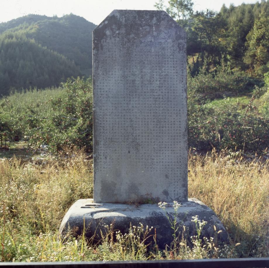 충주 억정사지 대지국사탑비이미지