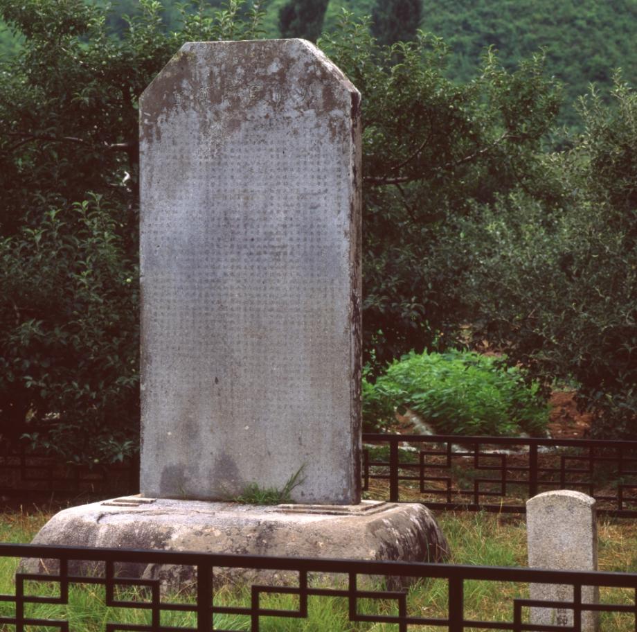 충주 억정사지 대지국사탑비이미지