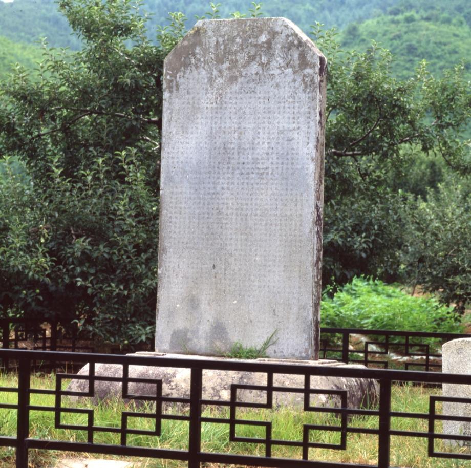 충주 억정사지 대지국사탑비이미지