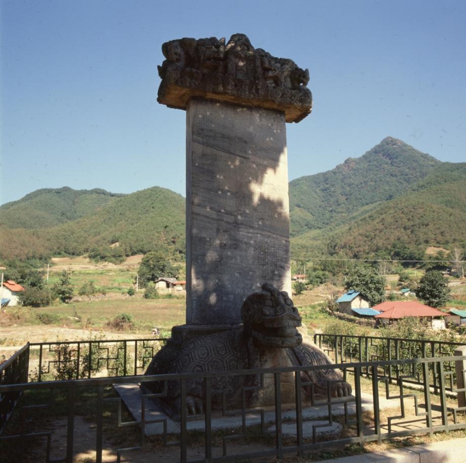 충주 정토사지 법경대사탑비이미지