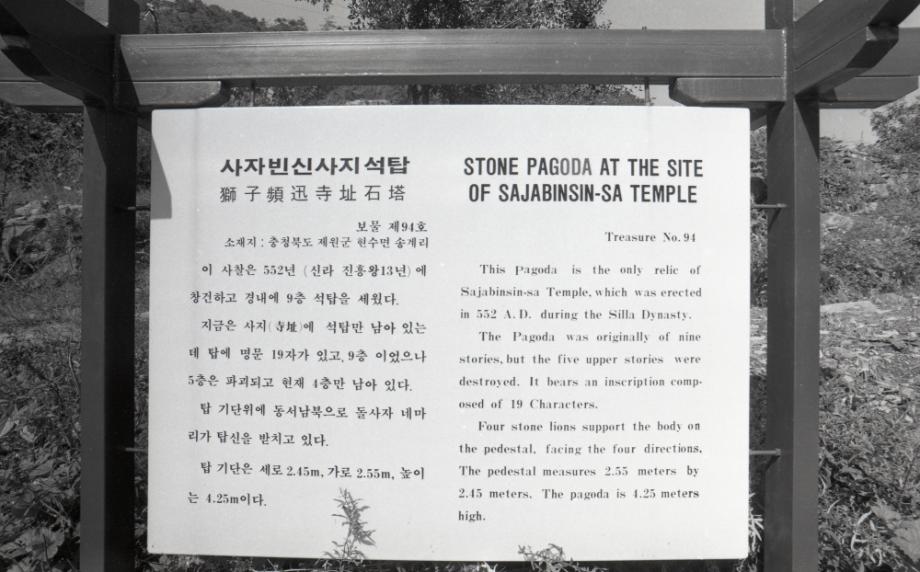 제천 사자빈신사지 사사자 구층석탑이미지