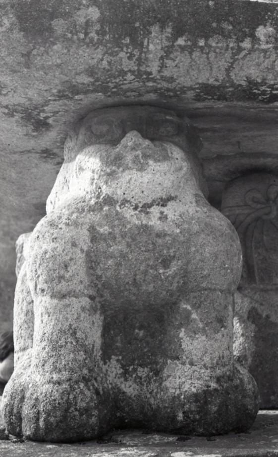 제천 사자빈신사지 사사자 구층석탑이미지