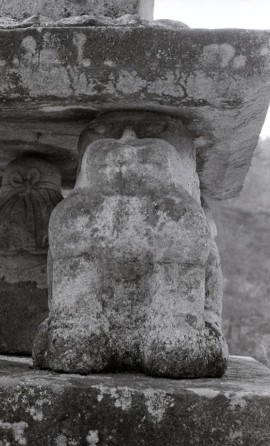 제천 사자빈신사지 사사자 구층석탑이미지