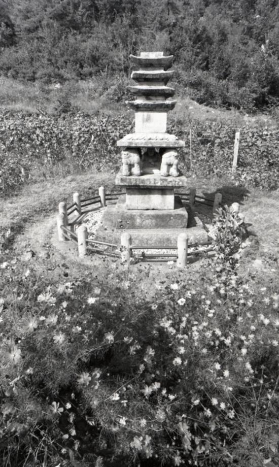 제천 사자빈신사지 사사자 구층석탑이미지