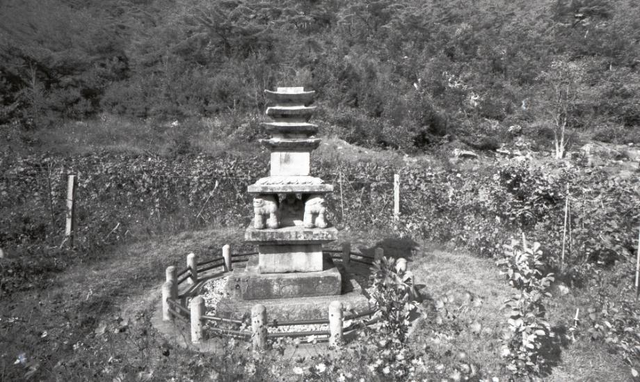 제천 사자빈신사지 사사자 구층석탑이미지