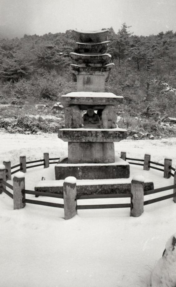 제천 사자빈신사지 사사자 구층석탑이미지