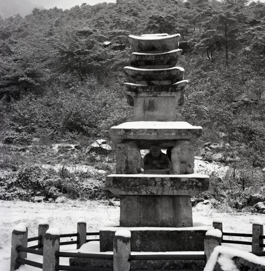 제천 사자빈신사지 사사자 구층석탑이미지