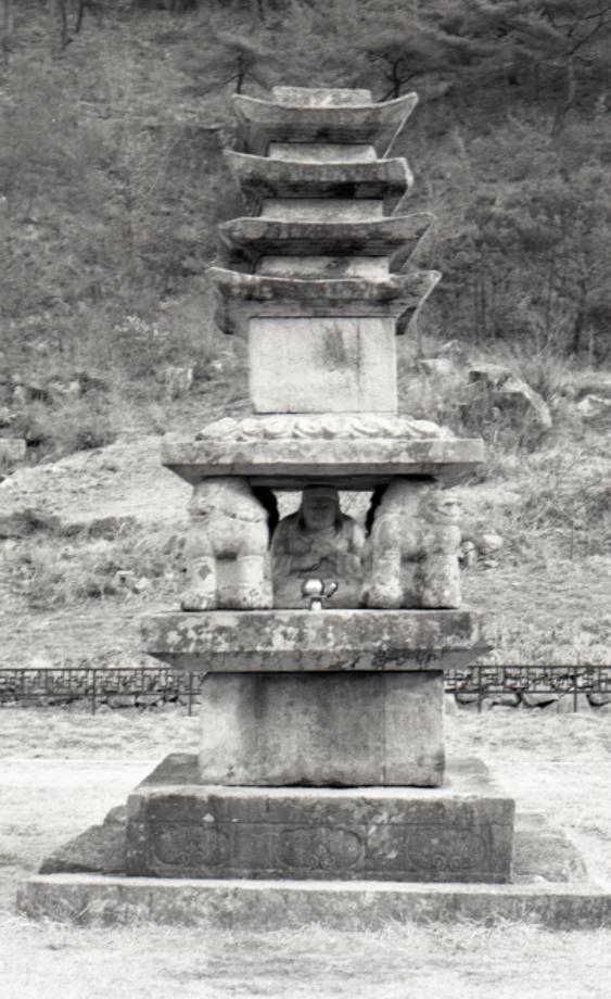 제천 사자빈신사지 사사자 구층석탑이미지