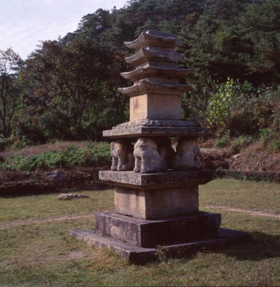 제천 사자빈신사지 사사자 구층석탑이미지