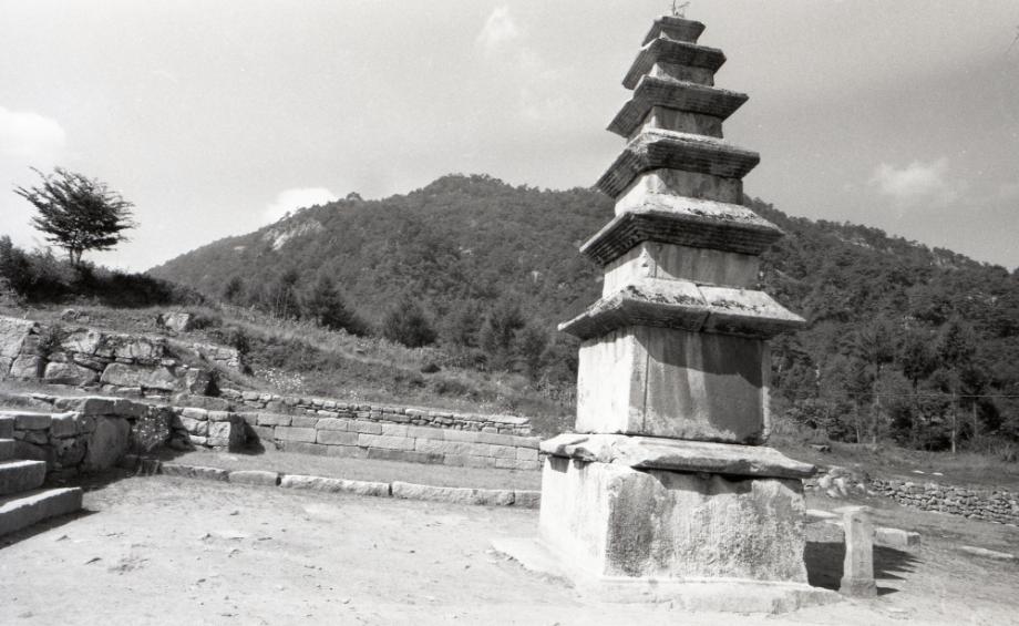 충주 미륵리 오층석탑이미지