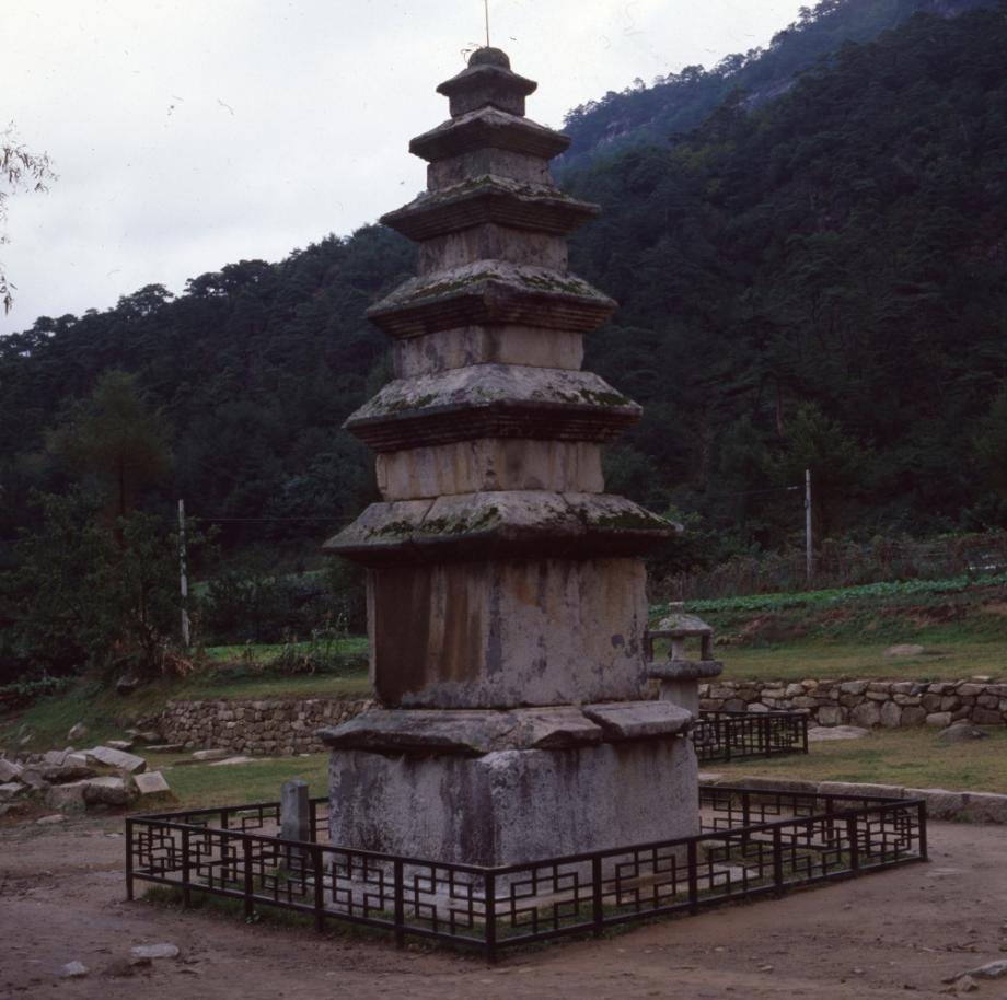 충주 미륵리 오층석탑이미지