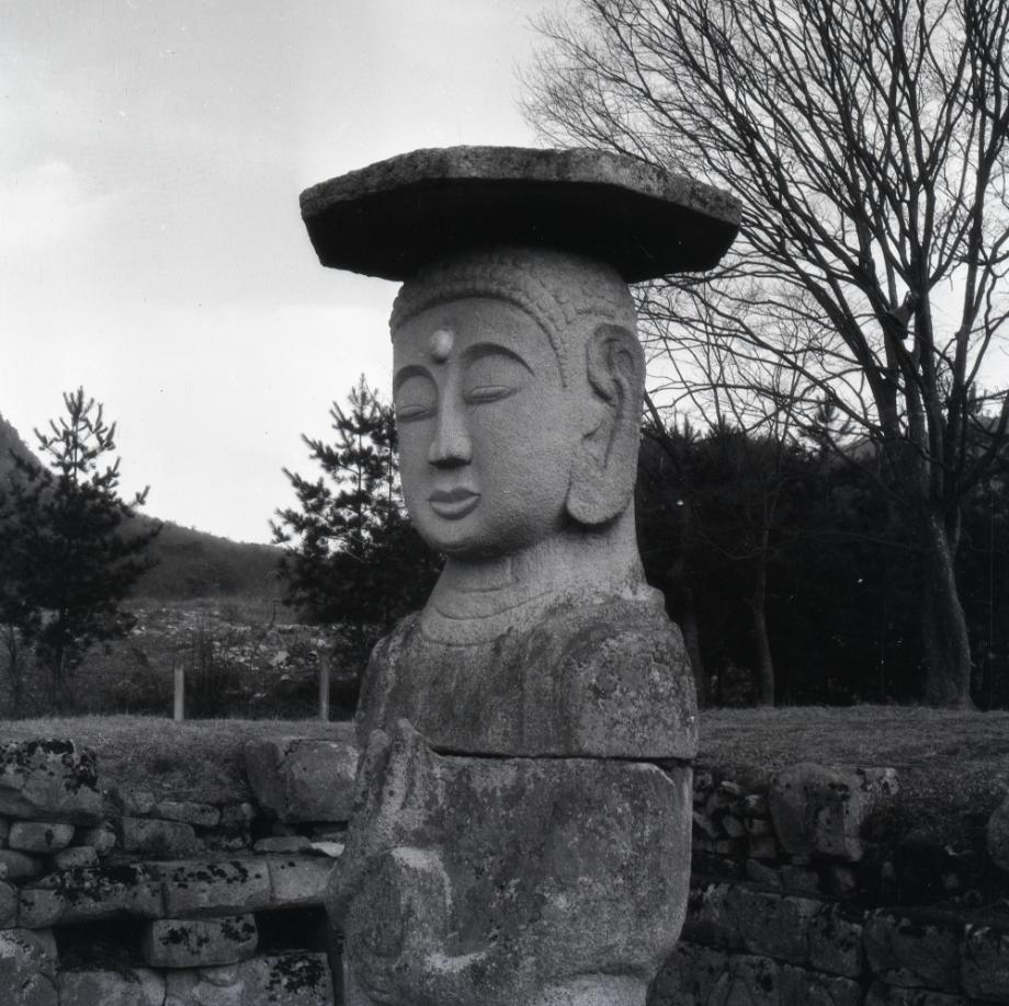 충주 미륵리 석조여래입상이미지