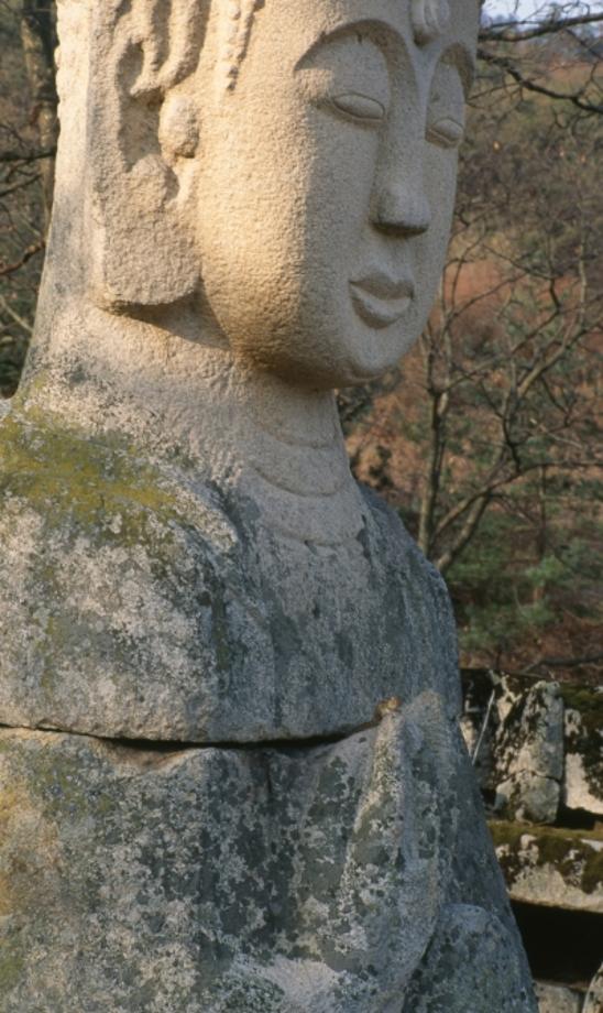 충주 미륵리 석조여래입상이미지