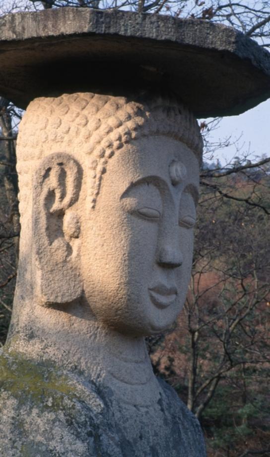 충주 미륵리 석조여래입상이미지