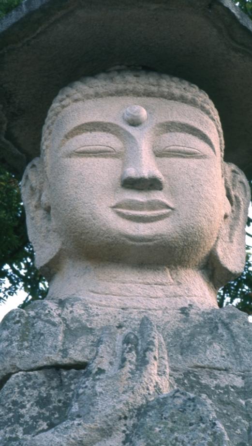 충주 미륵리 석조여래입상이미지