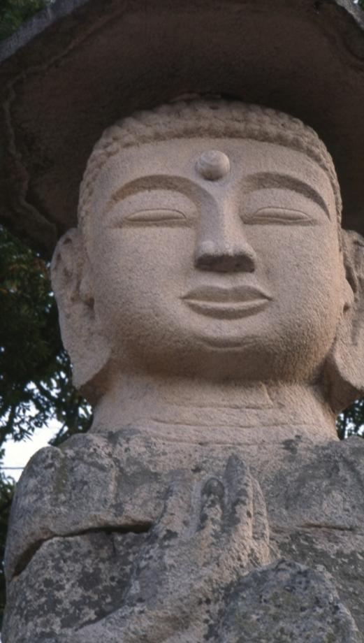 충주 미륵리 석조여래입상이미지