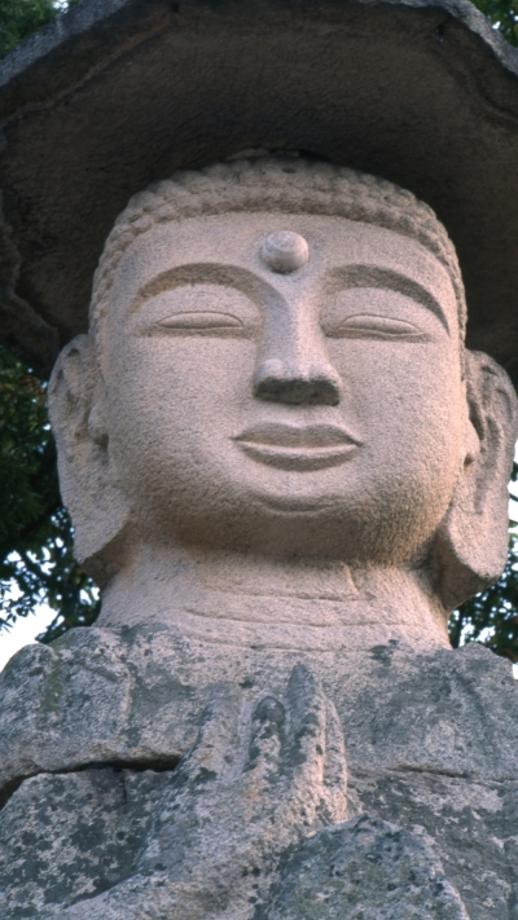 충주 미륵리 석조여래입상이미지