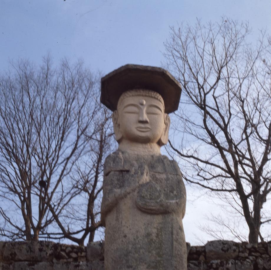 충주 미륵리 석조여래입상이미지