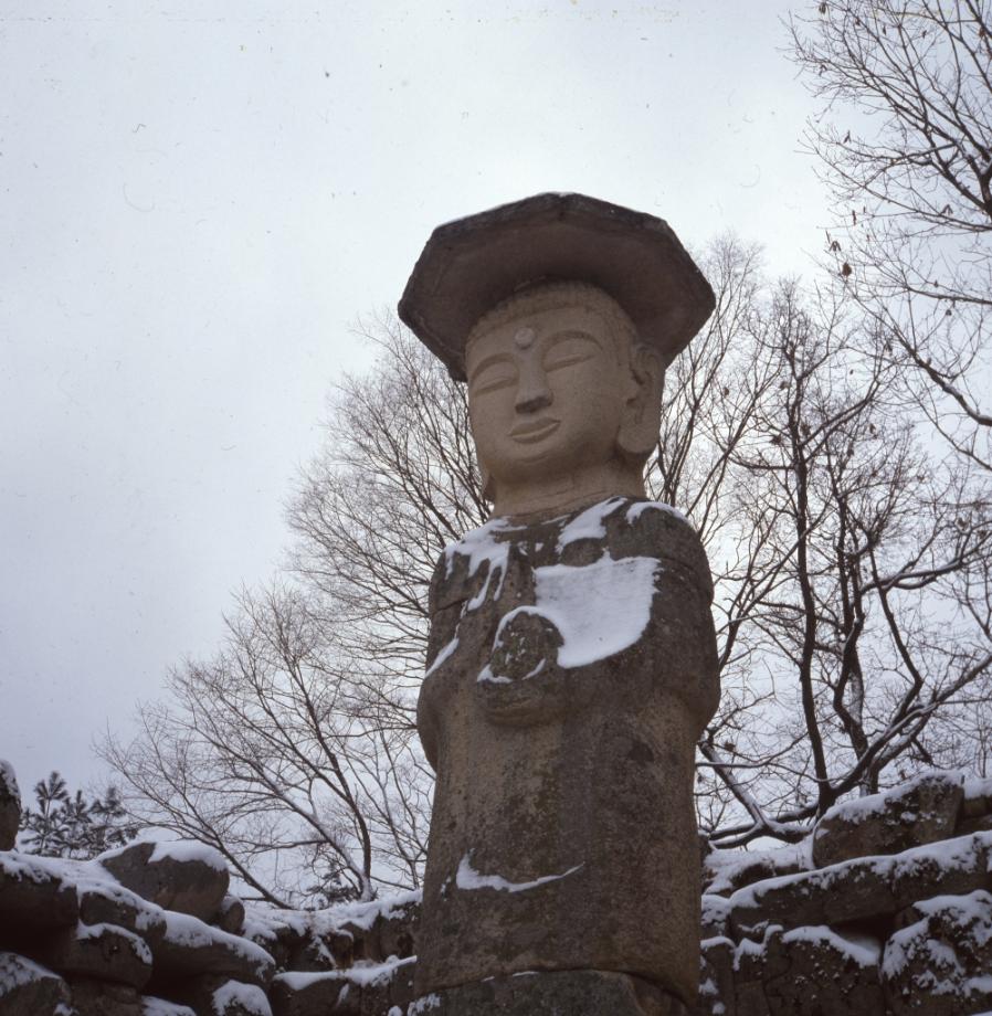 충주 미륵리 석조여래입상이미지