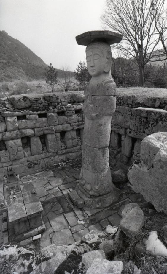 충주 미륵리 석조여래입상이미지