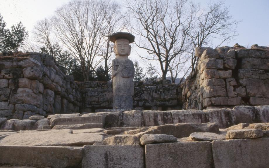 충주 미륵리 석조여래입상이미지