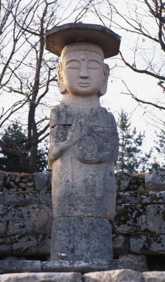 충주 미륵리 석조여래입상이미지