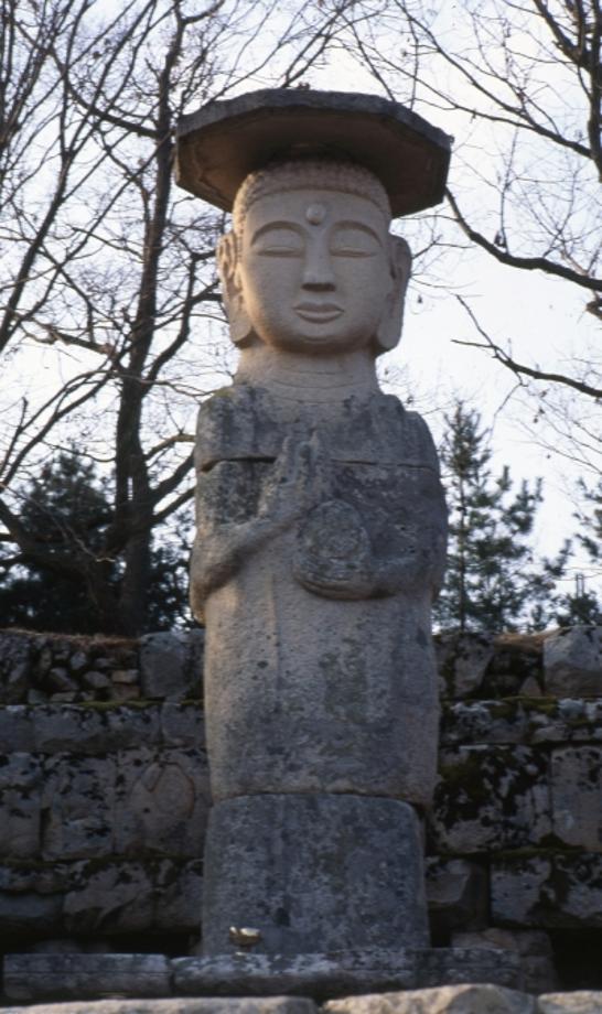 충주 미륵리 석조여래입상이미지