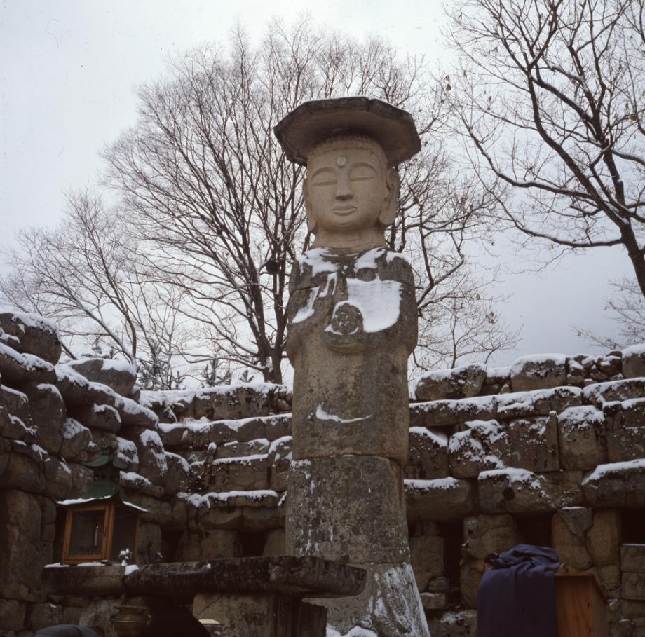 충주 미륵리 석조여래입상이미지