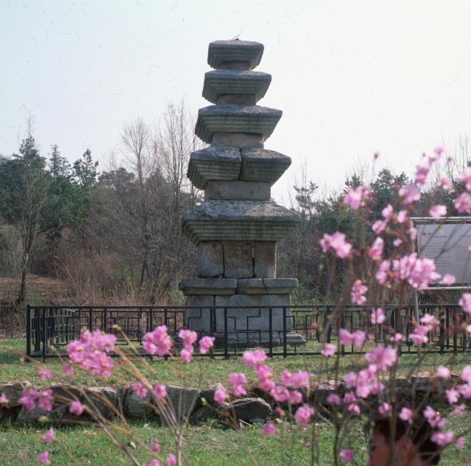 청주 계산리 오층석탑이미지