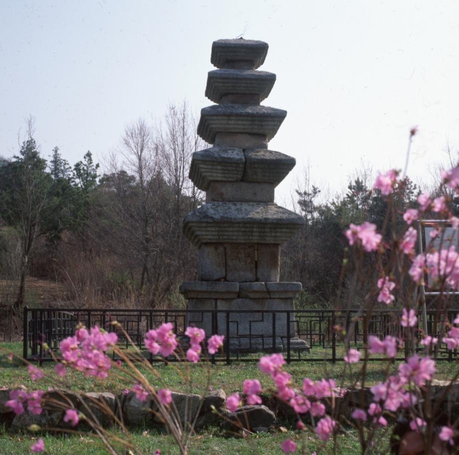 청주 계산리 오층석탑이미지