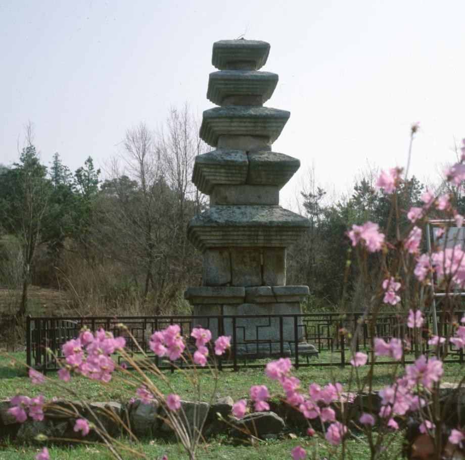 청주 계산리 오층석탑이미지