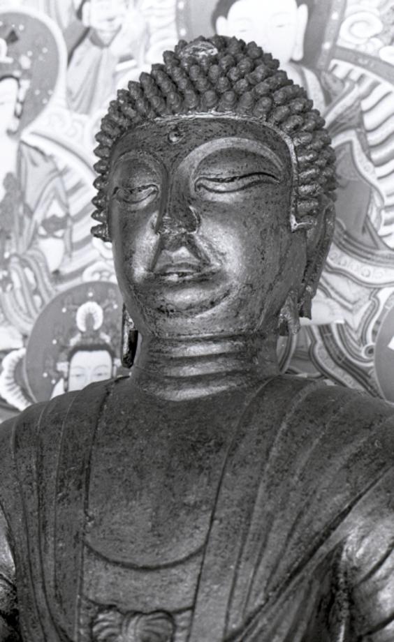 충주 단호사 철조여래좌상이미지