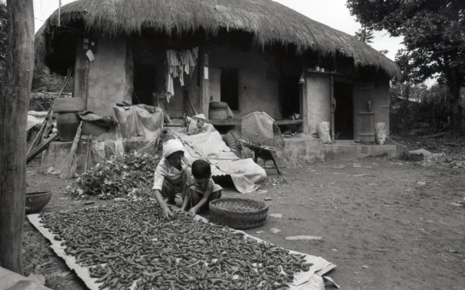 김운기 컬렉션이미지