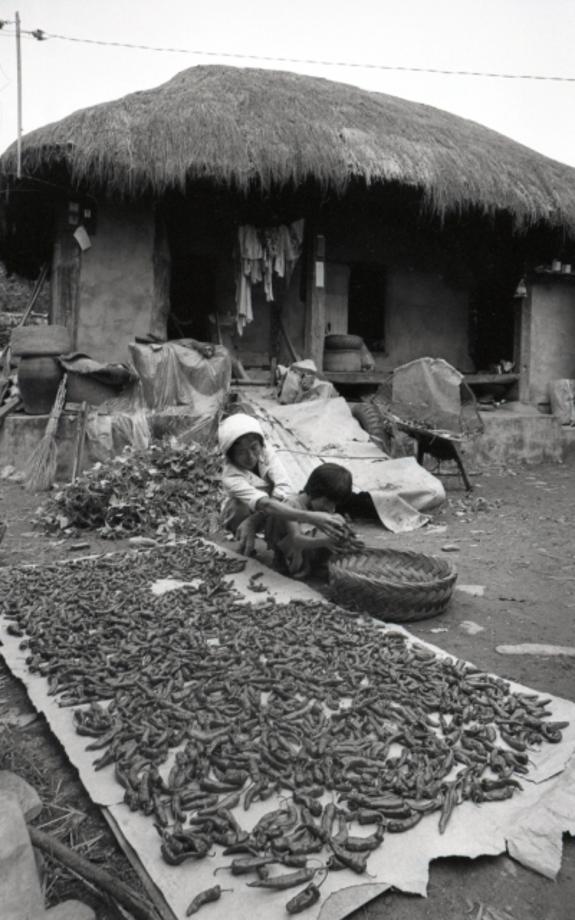 김운기 컬렉션이미지