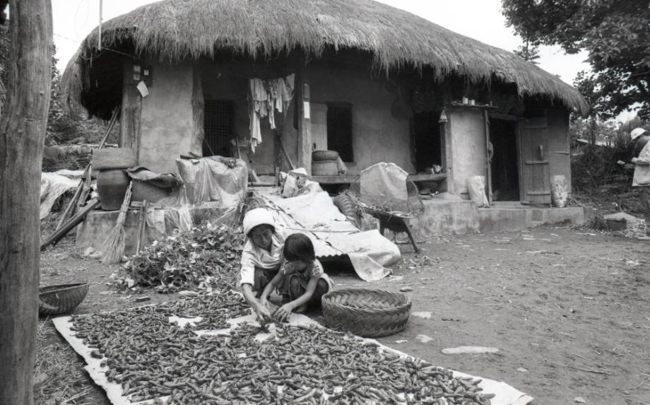 김운기 컬렉션이미지