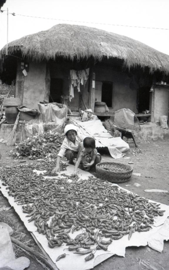 김운기 컬렉션이미지